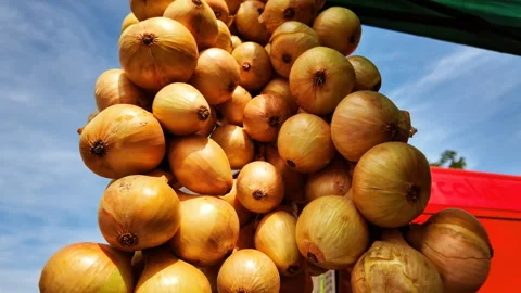 String of braided yellow onions Stock Footage 320269498