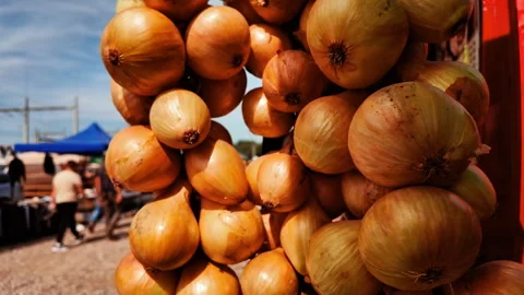 String of braided yellow onions Stock Footage 320606397