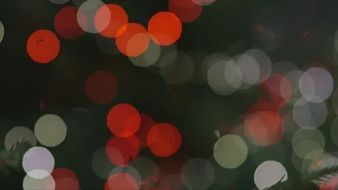 String of Christmas lights in the forest out of focus, in bokeh Stock Footage 245959857