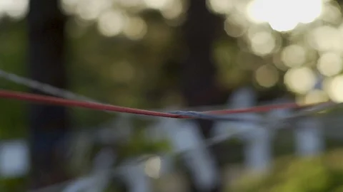 String Cord in the sunrise with pictures in the background in the woods Stock-Footage 128781485