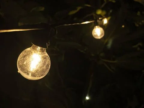  String of decorative light bulbs illuminating a garden party, creating a ... Foto stock