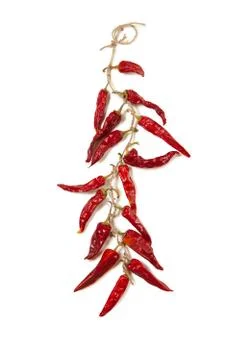 String of dried red chilli peppers hanging isolated on white. Foto stock