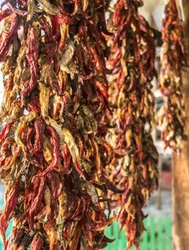 String Drying Red Chili Peppers Stock Photos