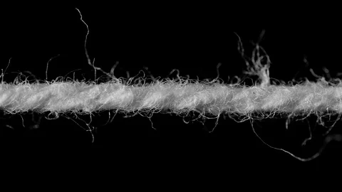 "STRING" ECU MACRO SLIDER SHOT. IN 4K, 10 BIT, ALL-INTRA, LOG.  BLACK AND WHITE. Stock Footage 109374946