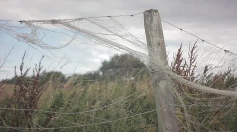 String on Fencepost Stock Footage 29636139