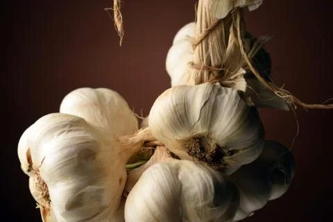 String of garlic bulbs Foto stock
