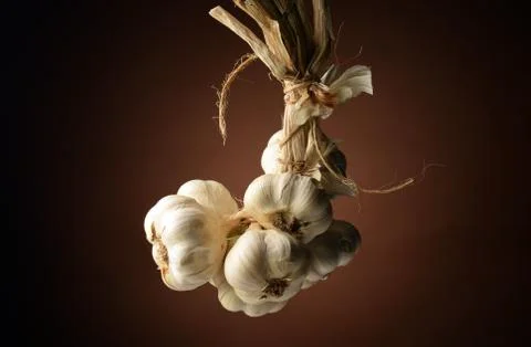 String of garlic bulbs Stock Photos