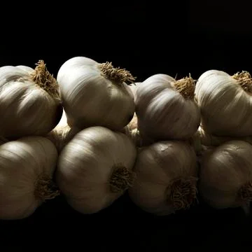 A string of garlic Foto stock