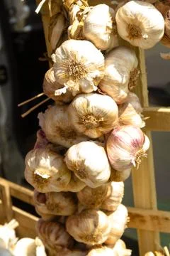 String of Garlic Stock Photos