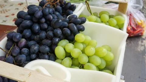 String of grapes Stock Photos