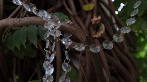 String of jewls draped around vines and leaves follow close up Stock Footage 91358994