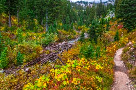String lake trail Stock Photos