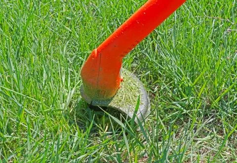 String lawn trimmer mower cutting grass, over a grass background Foto stock