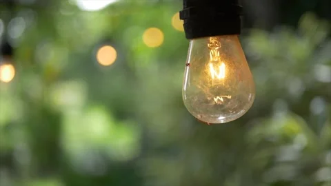 String of light bulbs turned on in a garden during an afternoon in Hawaii. Stock Footage 131332076