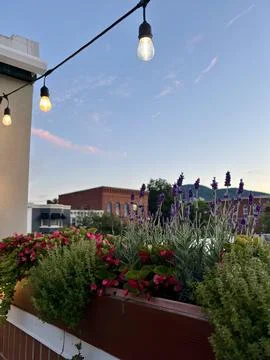 String lights and flower boxes with a sunset view in Bennington, VT Stock Photos
