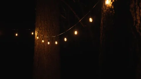String lights with bulbs on trees at night with smooth panning Stock Footage 315418938