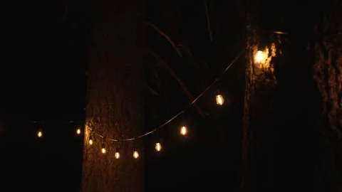 String lights with bulbs on trees at night with smooth panning Stock Footage 315418955