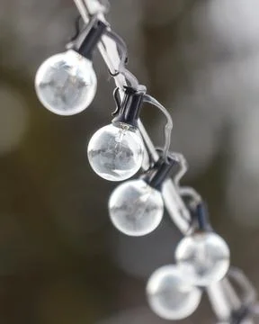 A string of lights with clear bulbs hanging from a tree Foto stock