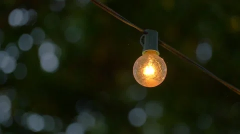 String Lights in Garden Close Up Stock Footage 68921480