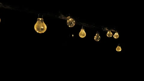 String Lights Glowing on Tree Branch in Night Garden with Crickets Stock-Footage 345262618