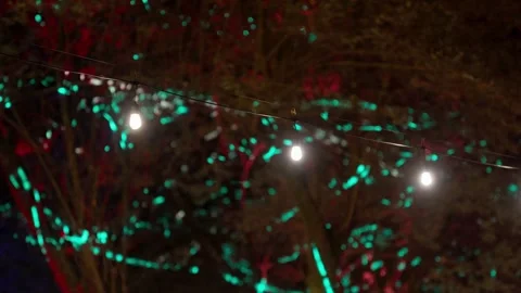 String Lights Glowing in a Tree With Turquoise Uplighting at Night Stock Footage 342330925