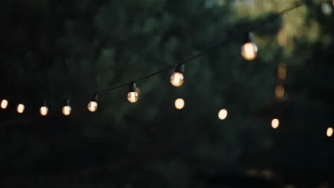 String lights hang above a garden during an evening gathering in a backyard Stock-Footage 341673187