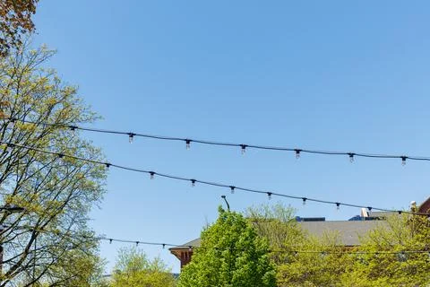 String lights hang above a park area with a blue sky and trees in the backg.. 스톡 사진