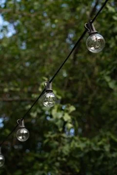 String lights hanging against green background vertical Foto stock