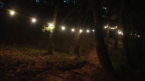 String lights hanging along forest path at night Stock Footage 319876425