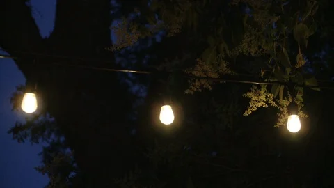 String Lights Hanging In Backyard Outdoor Party Stock Footage 108874724
