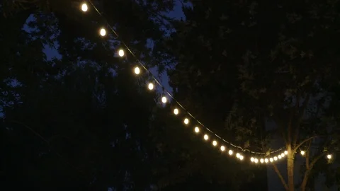 String Lights Hanging In Backyard Outdoor Party  Stock Footage 108917980