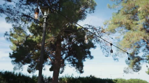 String lights hanging between pine trees at an outdoor wedding venue Video stock 347968507