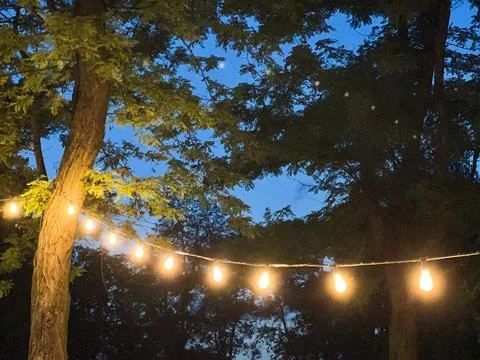 String lights hanging between trees illuminating summer night Foto stock