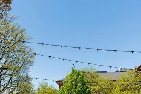 String lights hanging over trees on a sunny day outdoors Stock Photos