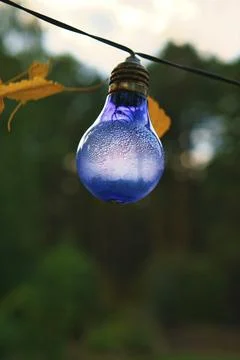 String of lights hanging on the tree. Garden party. Romantic place. Colorful Stock Photos