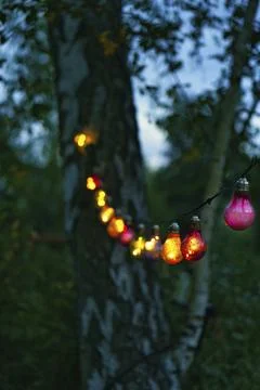 String of lights hanging on the tree. Garden party. Romantic place. Colorful Stock Photos
