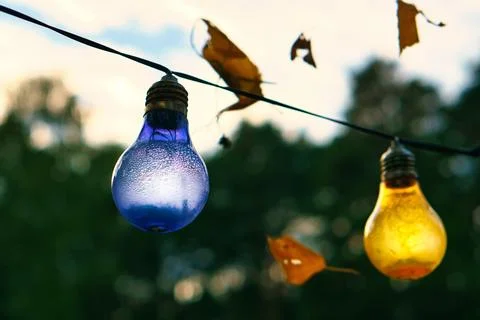 String of lights hanging on the tree. Garden party. Romantic place. Colorfu.. Stock Photos