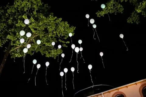 String lights hanging from tree at night with dark sky Stock Photos