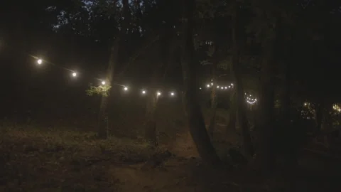 String lights hanging on trees along dark forest path at night 스톡 동영상 341779997