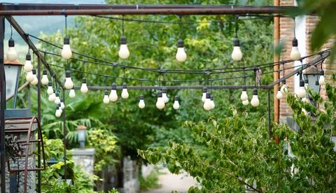 String lights hanging under an outdoor metal frame with lush green foliage in Stock Photos