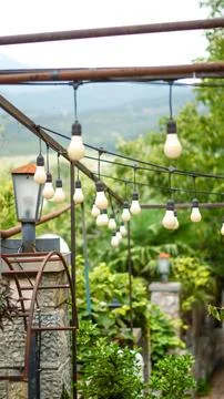 String lights hanging under an outdoor metal frame with lush green foliage in Stock Photos