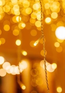 A string of lights hangs from the ceiling, creating a warm Stock Photos
