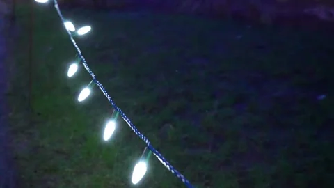 String Lights Illuminating Night Garden in Subtle Glow Stock Footage 263928224
