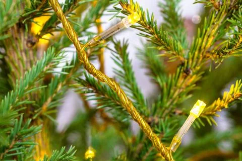 String lights on natural christmas tree close-up Foto stock