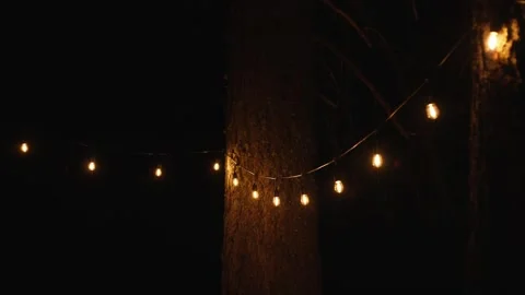 String lights at night in the forest with bokeh effect Stock Footage 318740148