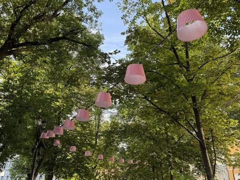 String lights with pink shades hanging among lush green trees, perfect for .. Stock Photos