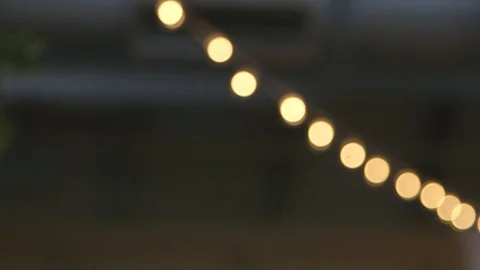 String lights wedding bouquet Stock Footage 115730439