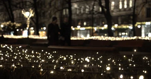 String lights wrapped on the fences in park. Park decorated for winter Stock Footage 157748194