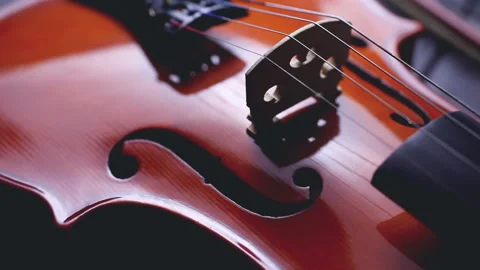 String music instruments and arts Stock Footage 97467068