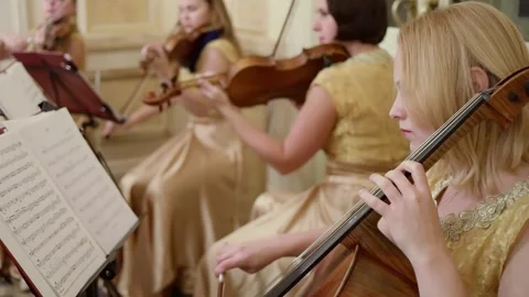 String musicians perform during Great Catherine Vídeo Stock 299627014